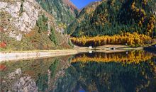 Julia Chen 2015年6月巨蟹座运势