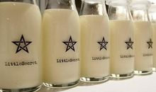 中州派四化禄之贪狼化禄