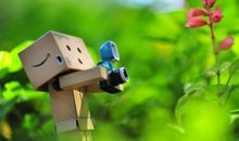 小希2015年5月星座运势