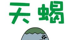 天蝎座无可挑剔的细节