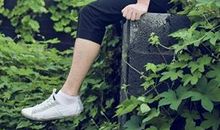 中州派四化权之天梁化权