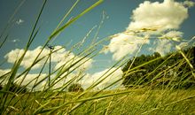 紫微斗数——红鸾、天喜对比