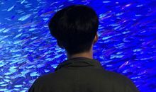 Geo老师2018年2月双鱼座运势