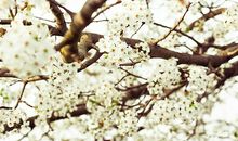 紫微斗数论健康