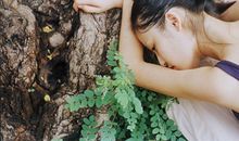 洁安2017年12月生命灵数运势