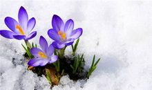 YAO叔:狮子座一周运势（5.7-5.13）