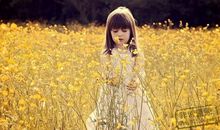 属鸡水瓶座2014年运势