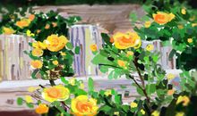 与处女座相配的葡萄酒