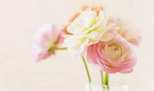 YAO叔:双鱼座一周运势（5.7-5.13）