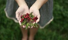 洁安生命灵数一周运势（12.4-12.10）