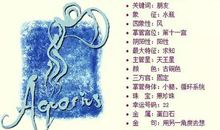 水瓶座把什么放在第一位