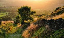 Julia Chen 2015年6月金牛座运势