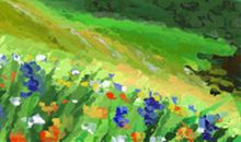 金牛座微信订阅都看什么？