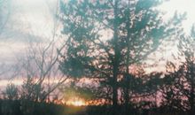 寂多蔓生2018年3月双鱼座运势