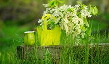 属猴射手座2014年运势