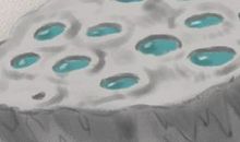 四种惊蛰养生药膳，祛湿健脾好味道