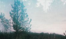 寂多蔓生2018年3月水瓶座运势