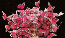 小乖麻根登卓玛2012年12月双鱼座运势