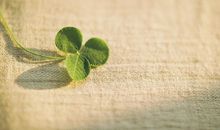 Astro twins一周星座运势(11.7-11.13)