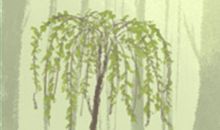 天蝎座恋人如何改邪归正