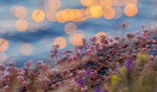 克莱尔今日星座运势（2017年2月8日）