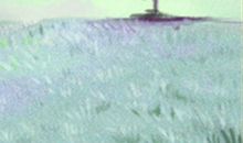 什么环境让金牛座欲火焚身？