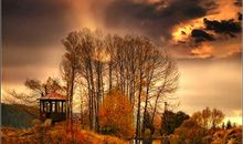 河洛派紫微斗数—关于化忌的界说