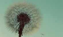 河洛派紫微斗数—论升迁