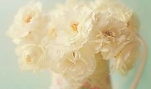 紫微各主星在福德宫时对感情的表现