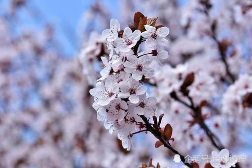 天蝎座避免初夏烂桃花