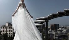 海百合12星座一周运势（2015.2.16-2.22）