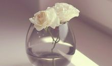 A微日记2016年11月处女座运势