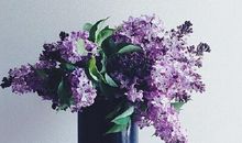 小乖麻根登卓玛2016年双鱼座年运