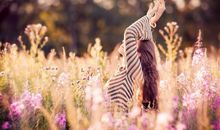 海百合十二星座一周运势(7.18-7.24)