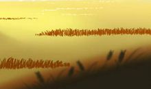 处女座的女生更豪放还是男生