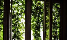 罗伯-本兹尼一周星座运势(2015.4.2-4.8)