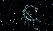 天蝎座的内心情感世界