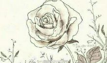 天蝎座面试搞笑版