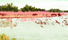 十二星座看不惯什么样的自己？