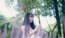 凤鸣九天2016年金牛座运势