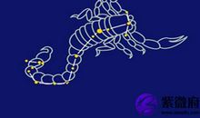 天蝎座挨老婆打后的反应