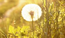 天蝎座2013年1月运势