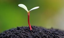 洁安生命灵数一周运势（2015.5.18-5.24）