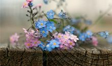 紫微斗数太阴星2017年11月爱情运势