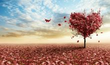 洁安2015年6月生命灵数运势