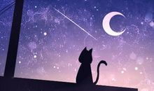 一语中的，一句话概括各血型君的性格