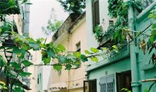 紫微斗数天府星2017年11月爱情运势