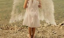 十二星座2014年易创造啥奇迹