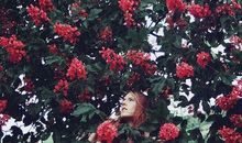 Hint占星一周星座运势（2015.4.13-4.19）