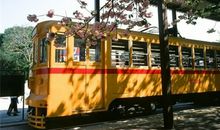 紫微斗数太阳星2017年11月爱情运势